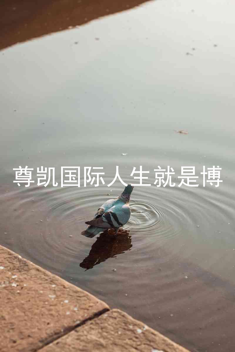 尊凯国际人生就是博