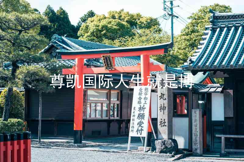 尊凯国际人生就是博